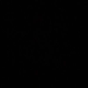 Meet your Posher, Dray